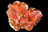 Red & Brown Vanadinite Crystal Cluster - Morocco #117724-1